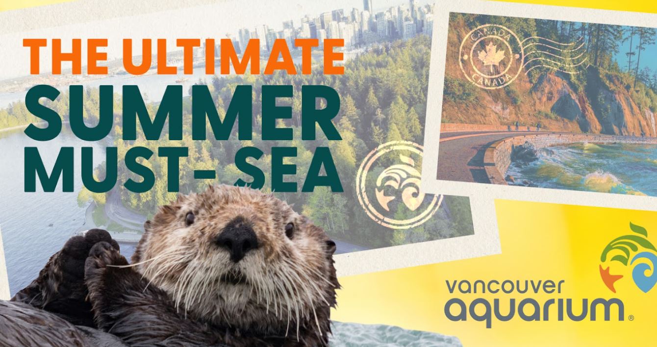 Summer at the Vancouver Aquarium! - Vimarsana News